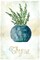 Potted Thyme Poster Print by Carol Robinson - Item # VARPDX40229